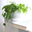 6 inch planter, houseplant pot, round cement plant pot, basket design planter, large planter for houseplants, buy houseplant pot near me, houseplant pot for home decor