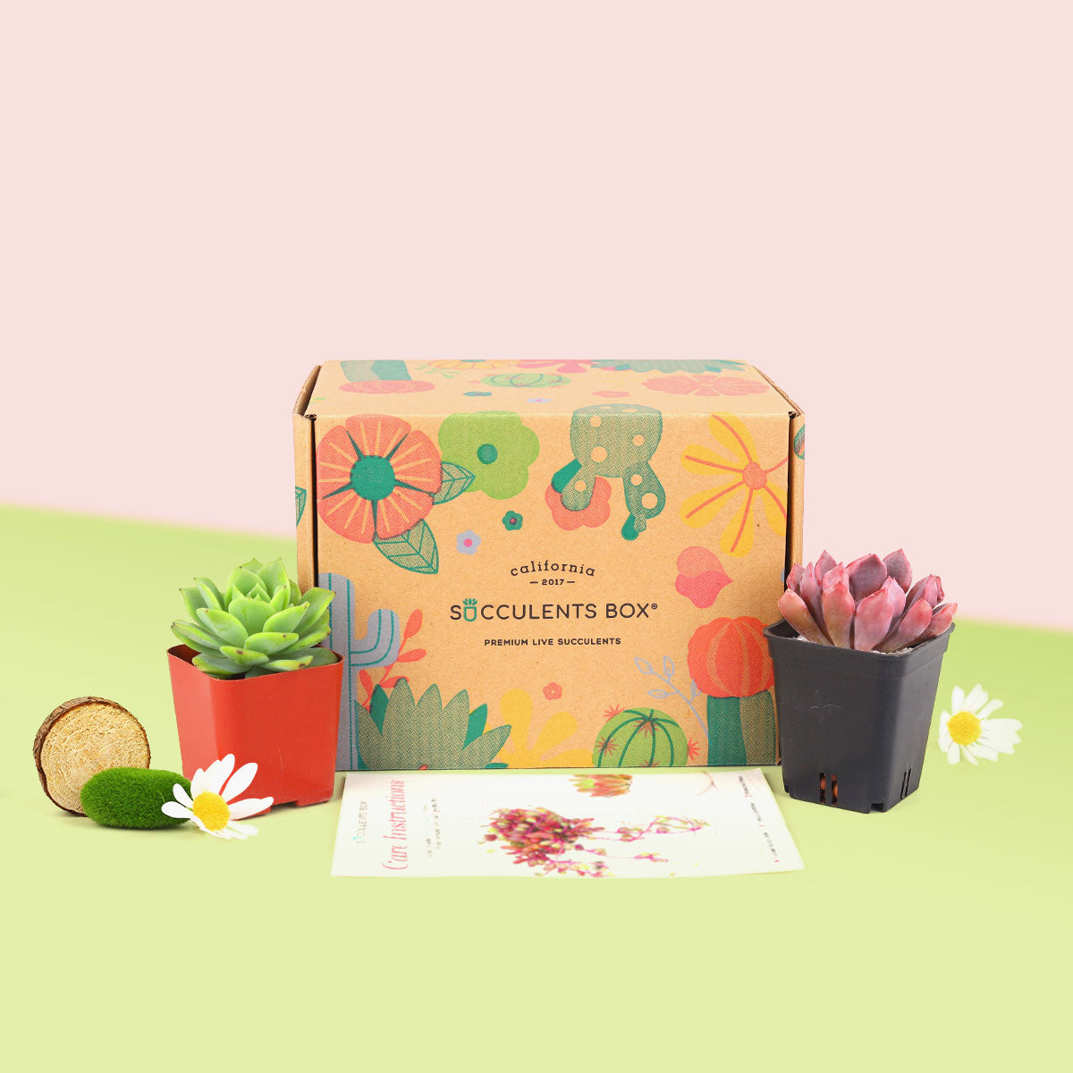 succulents monthly club Monthly Succulent Subscription Boxes with Care Instruction | Send Succulent Gifts