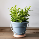 4 inch Blue Terracotta Pail Pot with Saucer