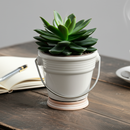 small succulent pots with drainage, ceramic succulent pots with drainage, unique succulent pots for sale, buy succulent pots online