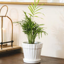 white ceramic pot with saucer, pot with drainage hole for indoor houseplants, stylist decorative pot, pot for small and medium plants