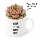Buy an 8-pack of 4" live plants online. Choose eight plants of your choice to create a lush and diverse collection in 4" pots. Perfect for filling larger spaces, decorating your home or office, and growing your plant collection.