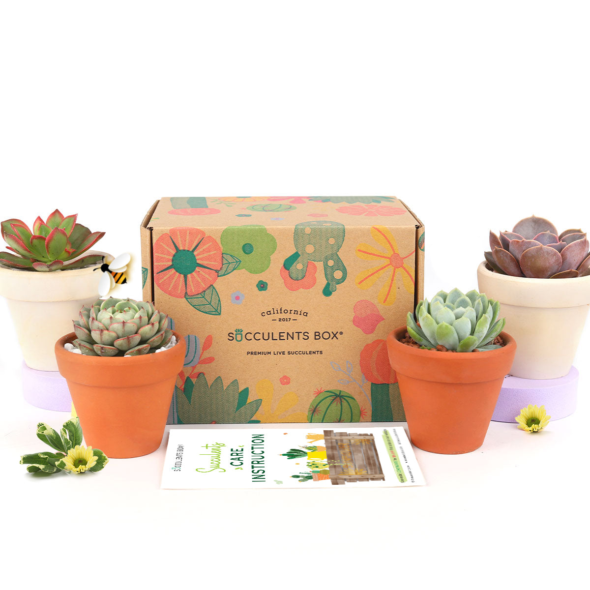 monthly subscription box, monthly subscription boxes for women, plant subscription box
