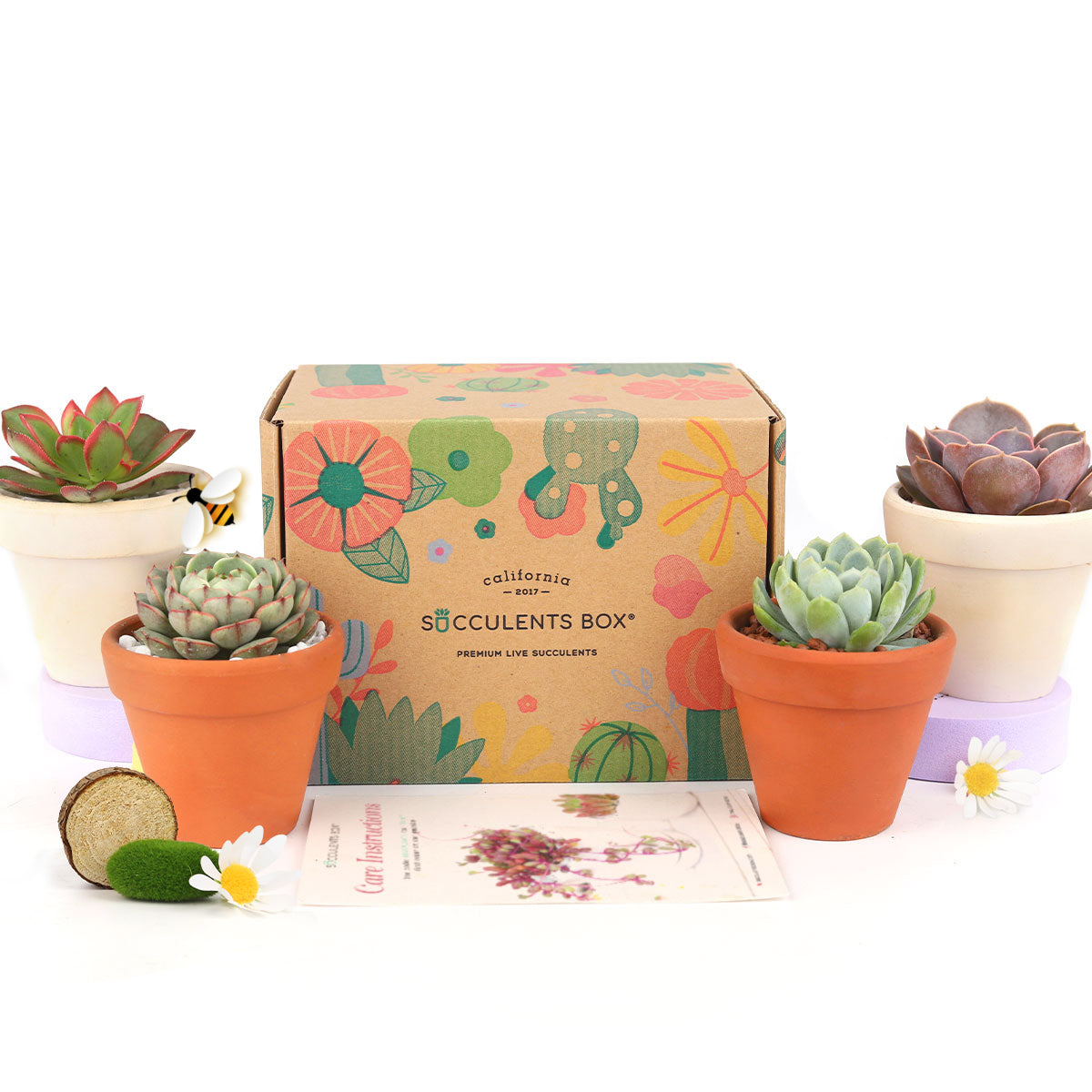 Subscription Box with Care Instruction, Succulent Subscription Box