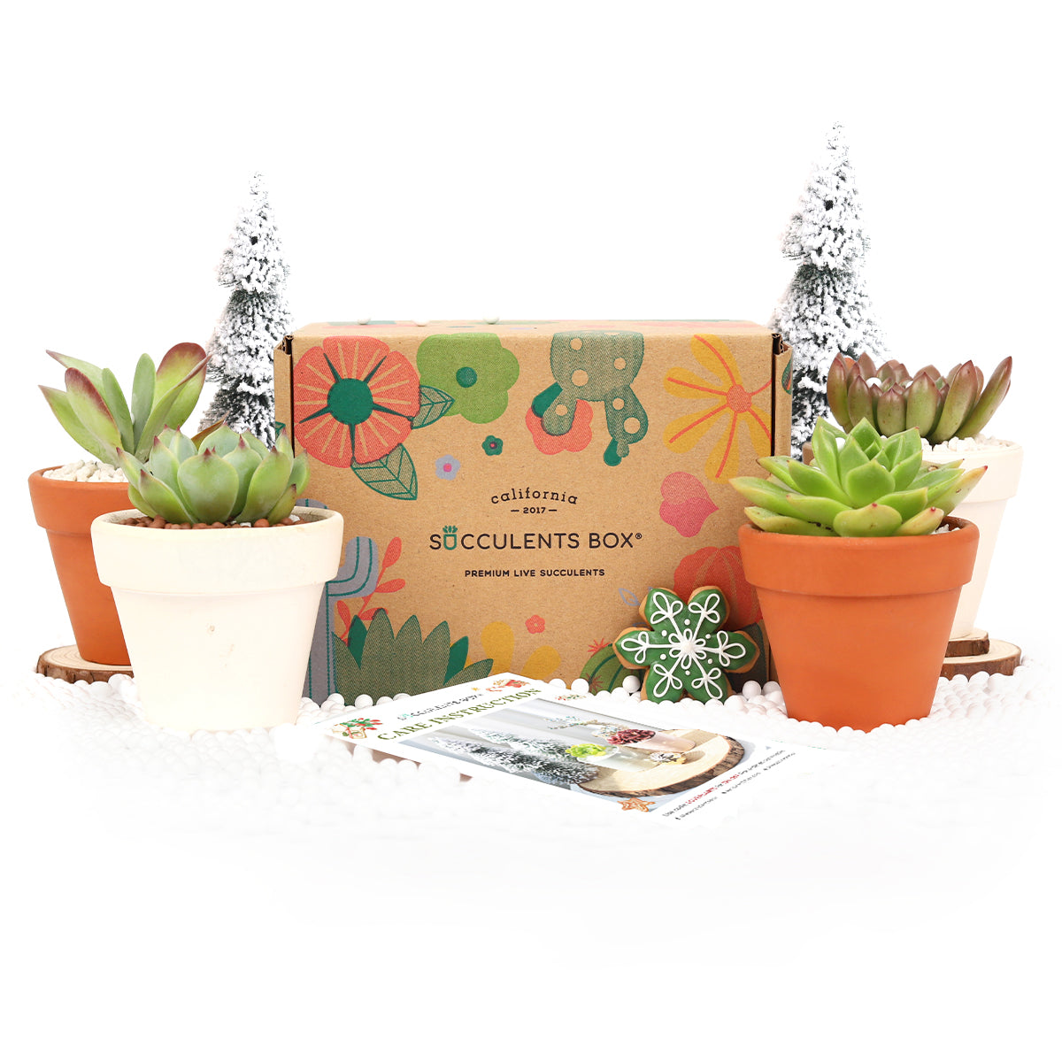 friends subscription box, subscription box service, eco friendly subscription box, plant box subscription