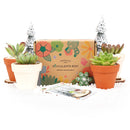 Succulents for Sale, Types of Succulents, Succulents Shop in California, Succulents and Cactus Plants, Cactus Box, Subscription Box with Care Instruction, Succulent Subscription Box