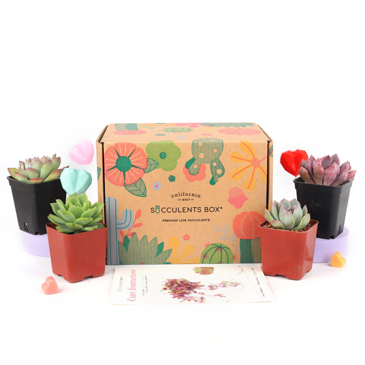 plant box subscription, sustainable subscription box, subscription box for teens