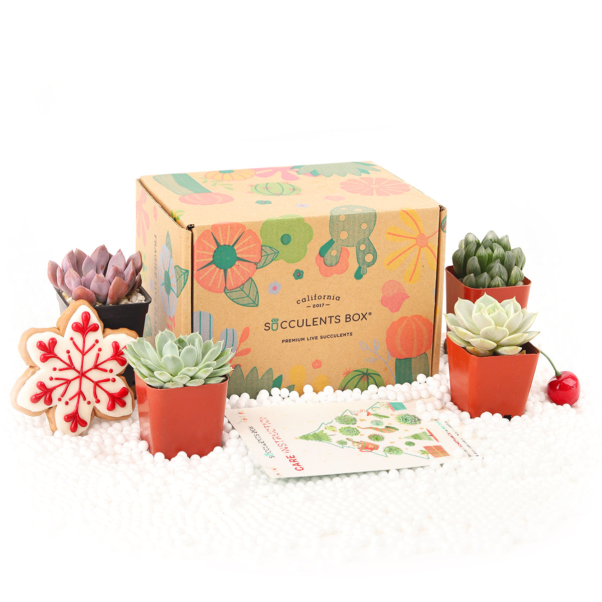 plant box subscription, sustainable subscription box, subscription box for teens