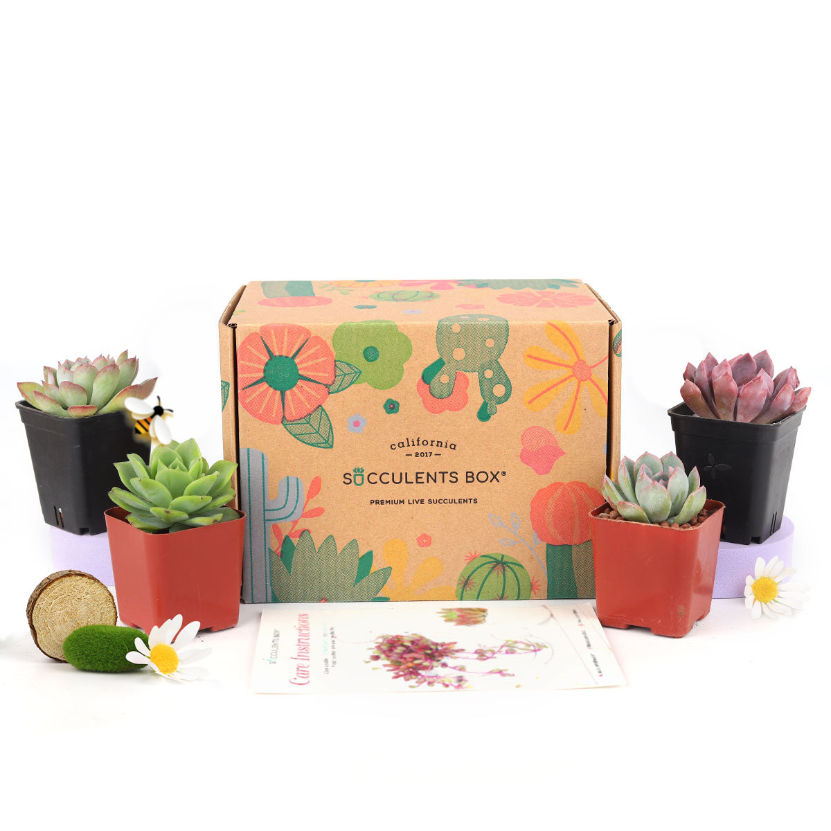 Subscription Box with Care Instruction, Succulent Subscription Box