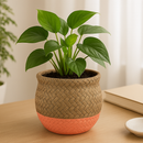 5.5 inch Orange &amp; Nature Reed Round Cement Pot