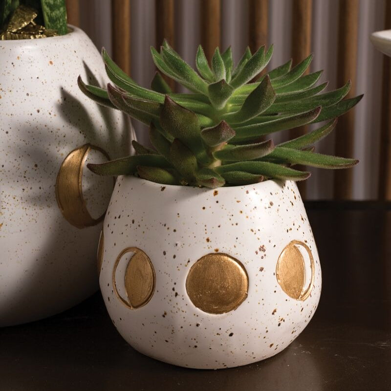 crescent succulents Gold Crescent Moon Pot - 4.5" Elegant Decor Planter For Sale