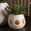 indoor cactus plant pots, decorative pots for succulents, unique succulent pots, succulent planter ideas indoor, buy small plant pots online