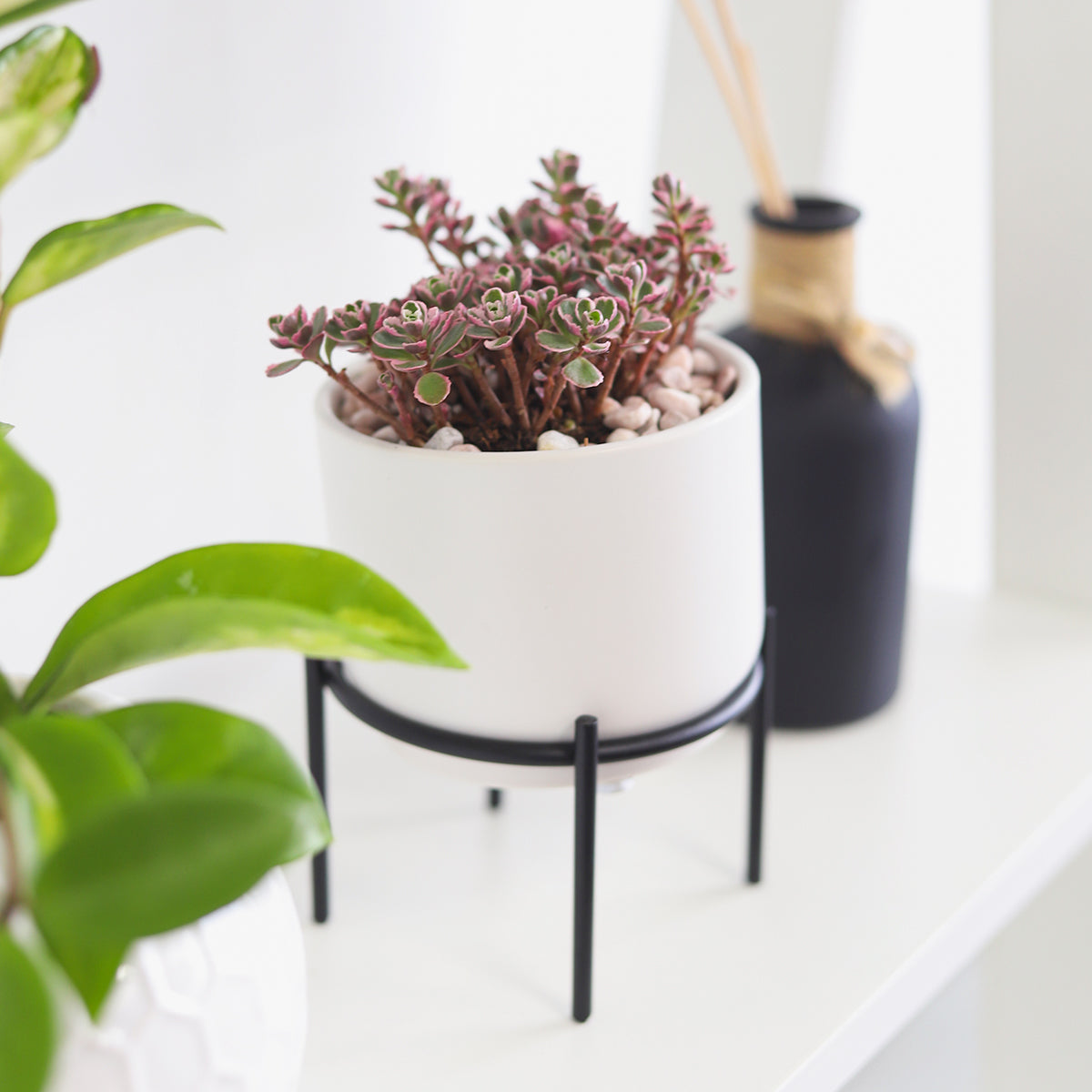 4 inch White Ceramic Planter with Stand for Succulent &amp; Houseplant, White Planter with Stand for Sale, Buy 4 inch White Ceramic Pot with Black Metal Stand for Indoor Corner and Outdoor Plants, small plant pot for home and office