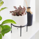 4 inch White Ceramic Planter with Stand for Succulent &amp; Houseplant, White Planter with Stand for Sale, Buy 4 inch White Ceramic Pot with Black Metal Stand for Indoor Corner and Outdoor Plants, small plant pot for home and office