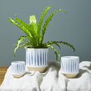 succulent planter ideas indoor, decorative pots for cacti, indoor plant pots, tabletop planter, tabletop planter ideas