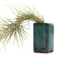 clay mini air plant pot, mini clay pot for air plant, small container for air plants and succulents, buy tiny pot for air plant online, air plant pot with drainage hole, retro-design clay pot, vintage pottery for sale