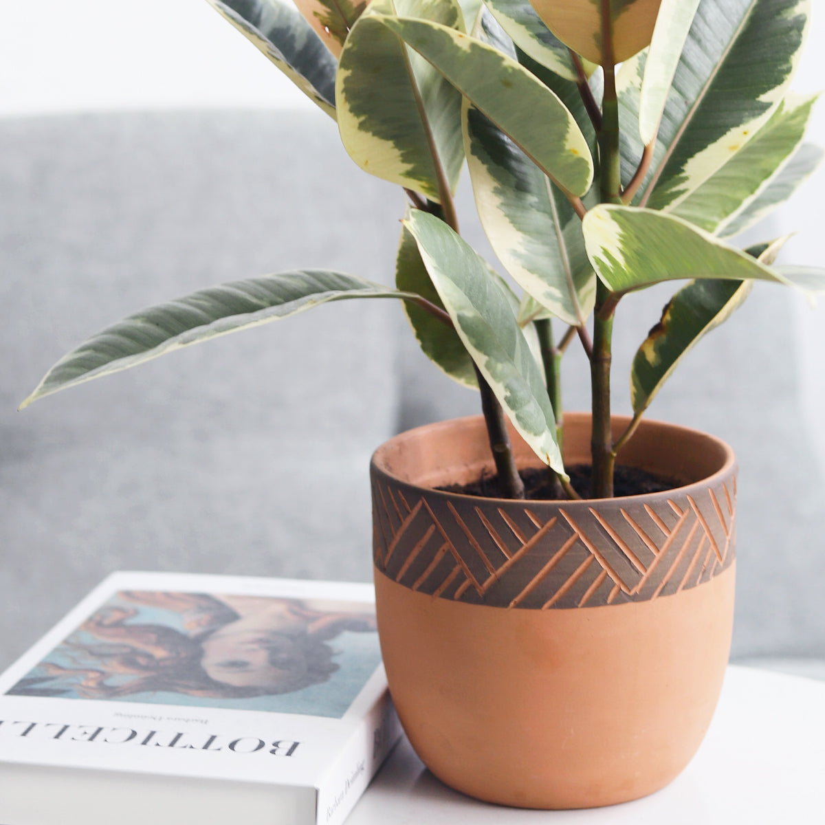 decorative clay pots for indoor plants 5.5 inch Clay-Black Color Modern Pot