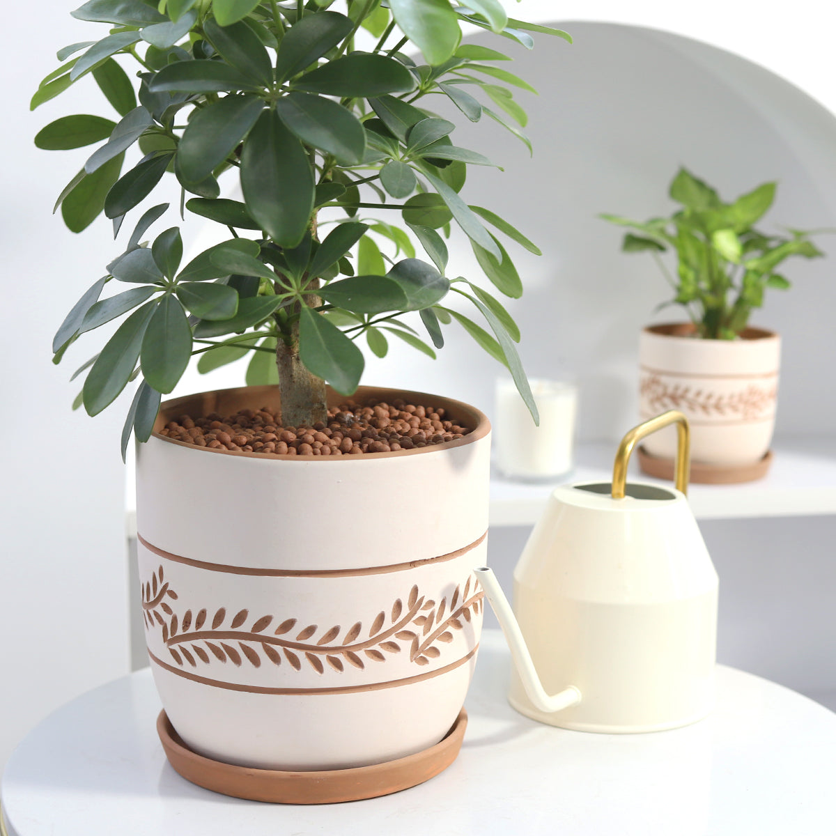 china clay pots for plants White Clay Horizontal Leaf Pattern Pot