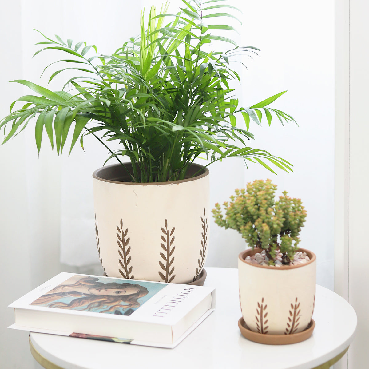 large modern terracotta pots, modern terracotta planter, terracotta pots, indoor terracotta pots