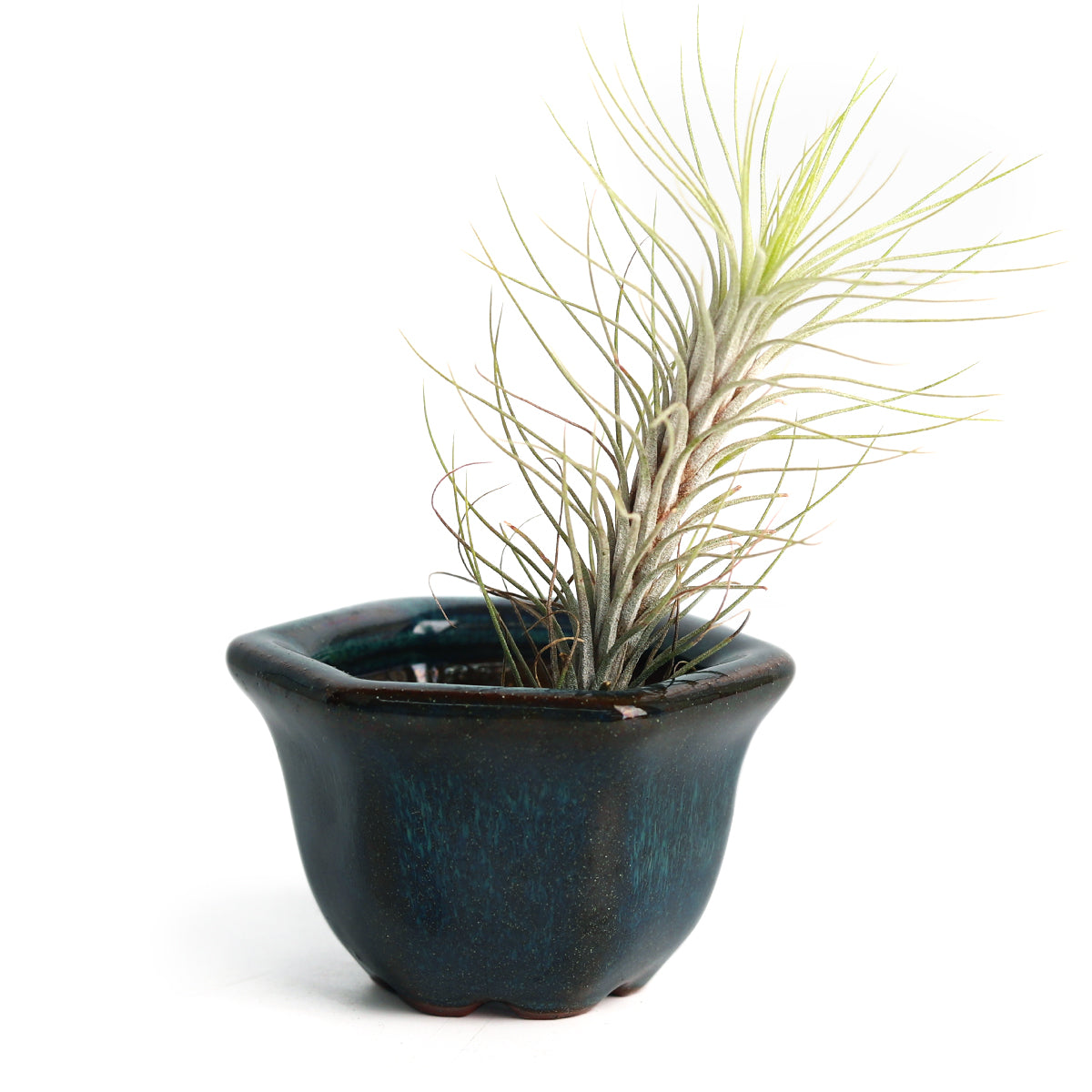 small pots for air plants Retro Green Hexagon Glazed Clay Mini Air Plant Holder - Air Plant Pots