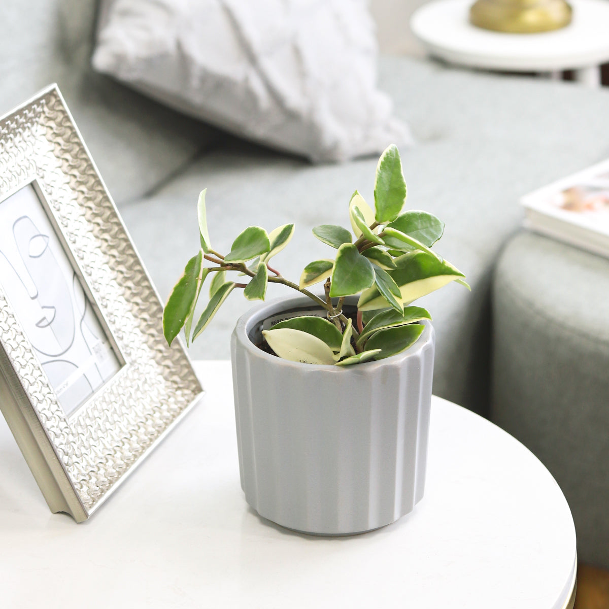 5 inch Glazed Ceramic Planter with Drainage Hole for Succulent and Houseplant, 5&quot; White Vertical Stripes Ceramic Cylinder Houseplant Pot, tabletop decorative planter for home and office