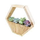 Succulent Arrangement, Live Hexagon Planter, Succulent Wood Box, Vertical Wall Planter