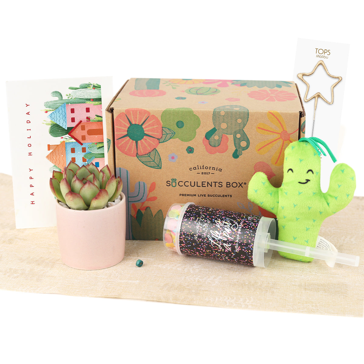 Holiday Gift Box - 1 Succulent 1 Sparkler 1 Confetti Popper & 1 Felt Wire Cactus Pot