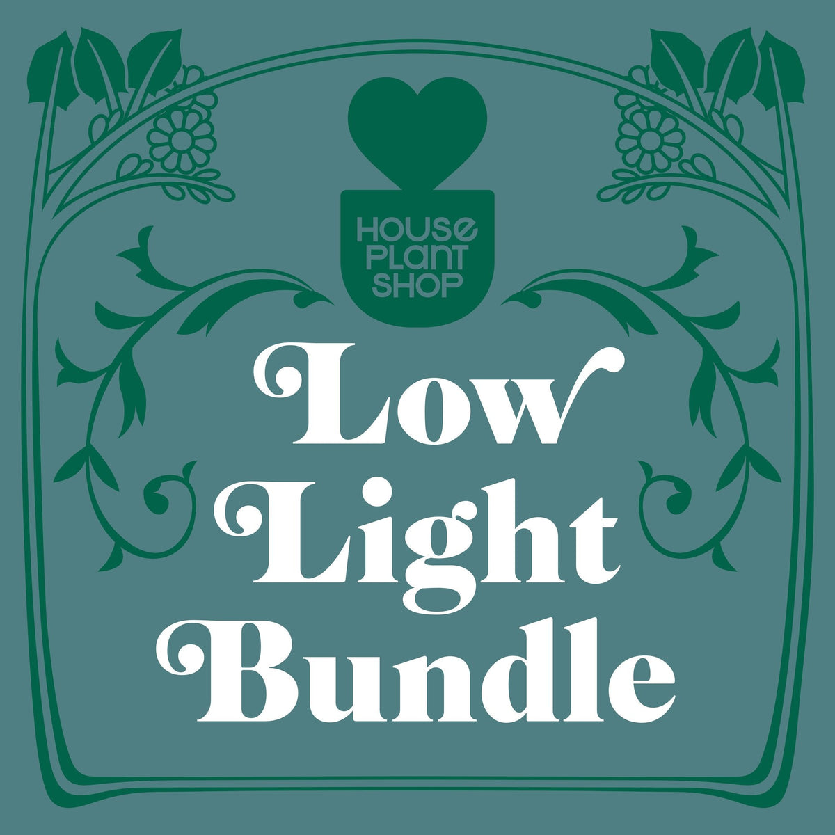buy low light bundle live houseplant 3" bundle online, mixed shade-tolerant foliage in deep forest green, upright and trailing growth forms, low maintenance and air purifying, resilient tropical leaves, styled as a modern apartment green oasis, makes a thoughtful housewarming gift