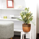 Ficus Elastica Ruby Pink Rubber Tree Delivery, Easy to care houseplant for beginner, Best Feng Shui Plants for your home office, how to care for ficus houseplant, colorful indoor houseplant for sale