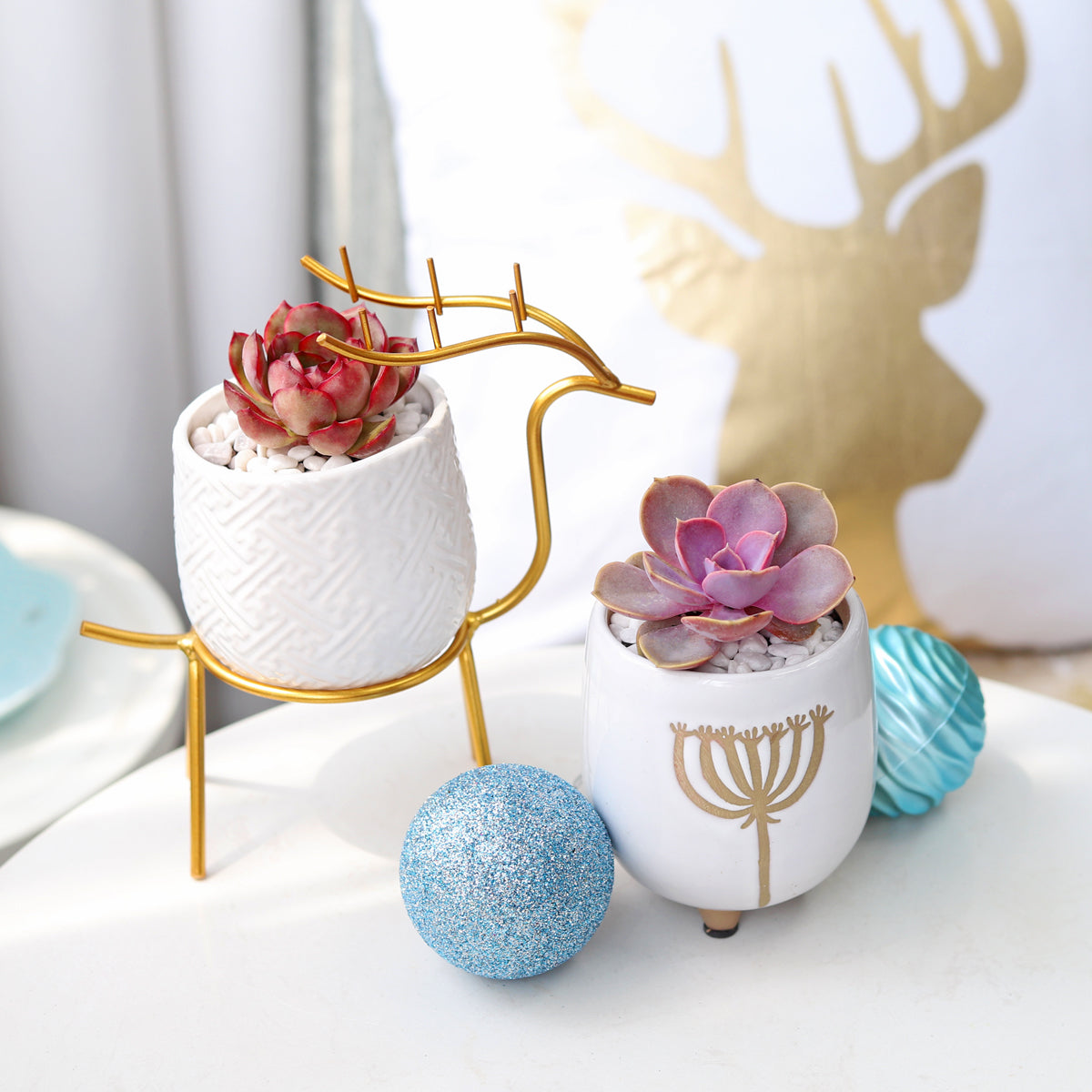 Buy Dandelion ceramic pot, Small white ceramic pot for succulents, decorative pots for home office decor ideas, Ceramic pots for indoor plants, Succulents Box offers stylish and eclectic ceramic planters