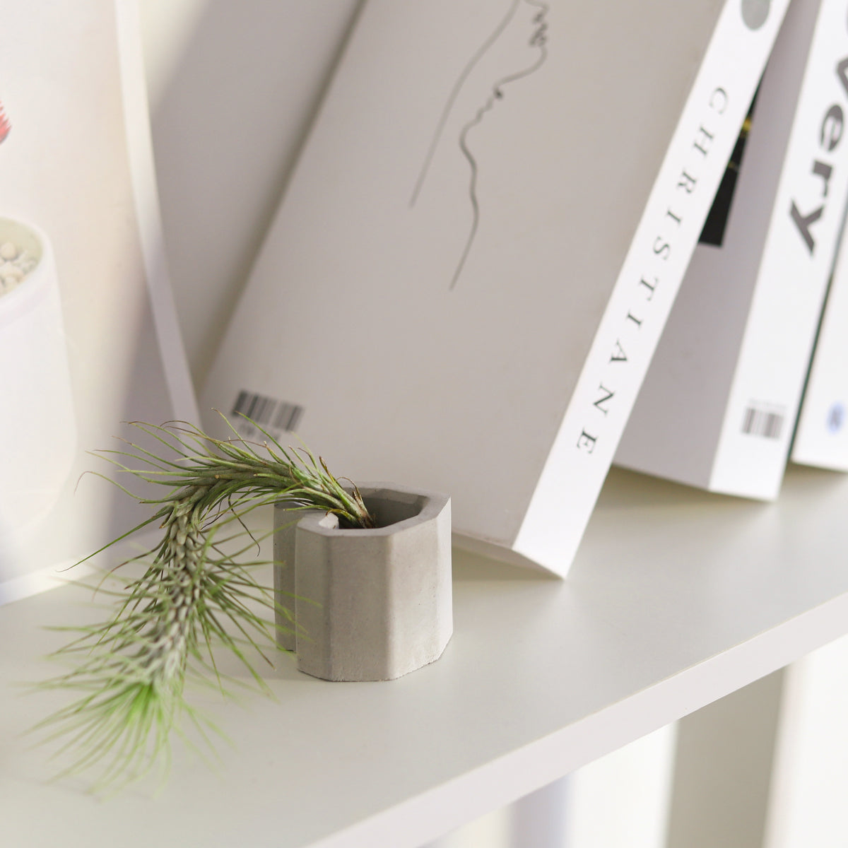 Heart-shaped Air Plant Holder, buy Heart-shaped Cement Air Plant Holder online, mini planter, mini planter for succulents, mini cement planter, air plant holder, unique air plant holder