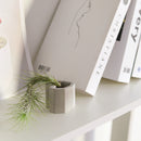 small air plant holder, tiny air plant holder for sale, mini cement airplant holder