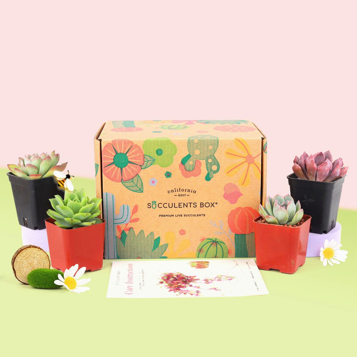 succulent monthly subscription Gift 4 succulent/ month - 12 month Subscription - 1 time charge
