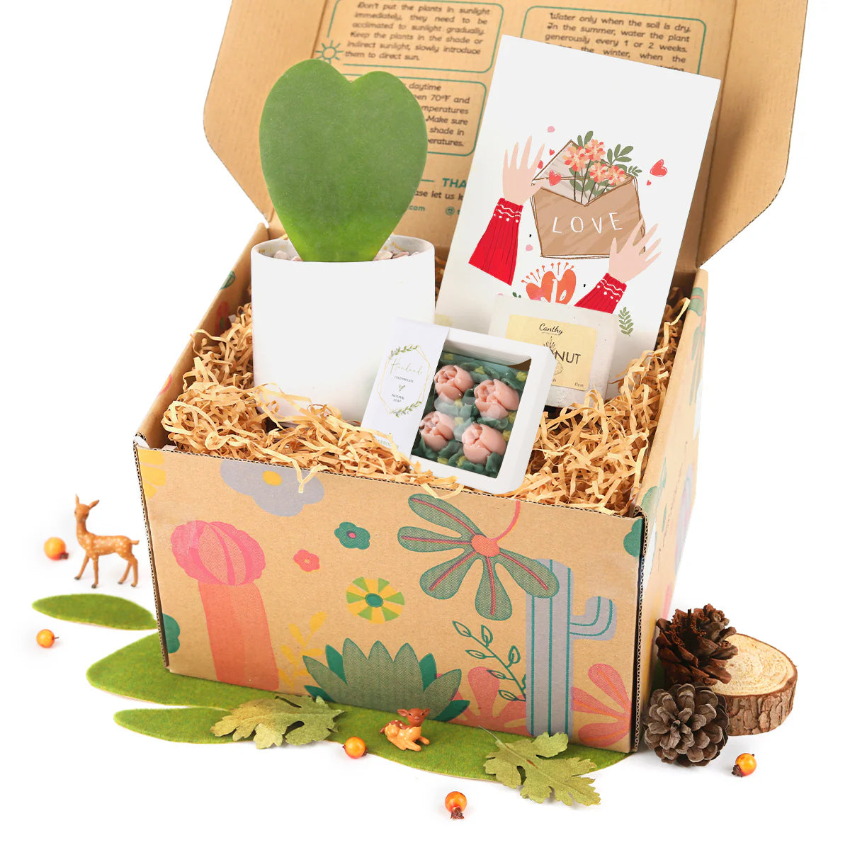 Gift Box - 1 Houseplant, 1 Hand-made Soap and 1 Soy Candle, relaxing gift set for plant lovers, gift box for women, holiday 2025 gift ideas, gift box delivery, buy plant gift box online