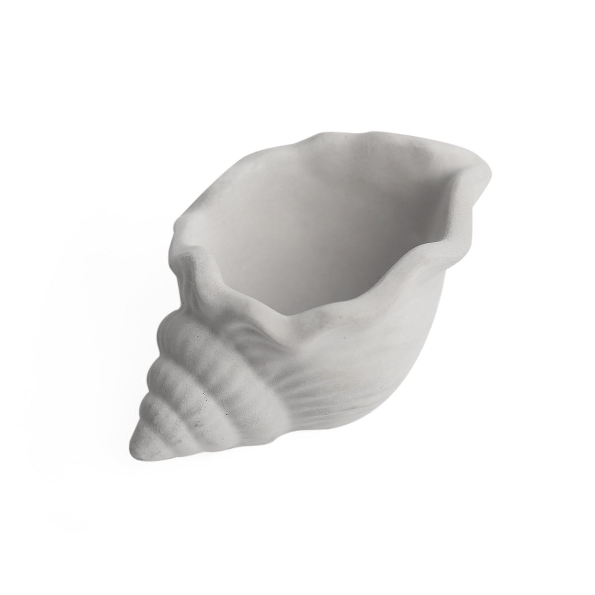 cement air plant holder, seashell air plant holder, Mini Air Plant Holder for sale, buy Cement Seashell Mini Air Plant Holder online, Mini Air Plant display ideas, unique air plant holder