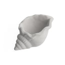 cement air plant holder, seashell air plant holder, Mini Air Plant Holder for sale, buy Cement Seashell Mini Air Plant Holder online, Mini Air Plant display ideas, air plant holder, seashell air plant holder for home and office decor