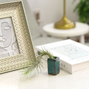 clay mini air plant pot, mini clay pot for air plant, small container for air plants and succulents, buy tiny pot for air plant online, air plant pot with drainage hole, retro-design clay pot, vintage pottery for sale