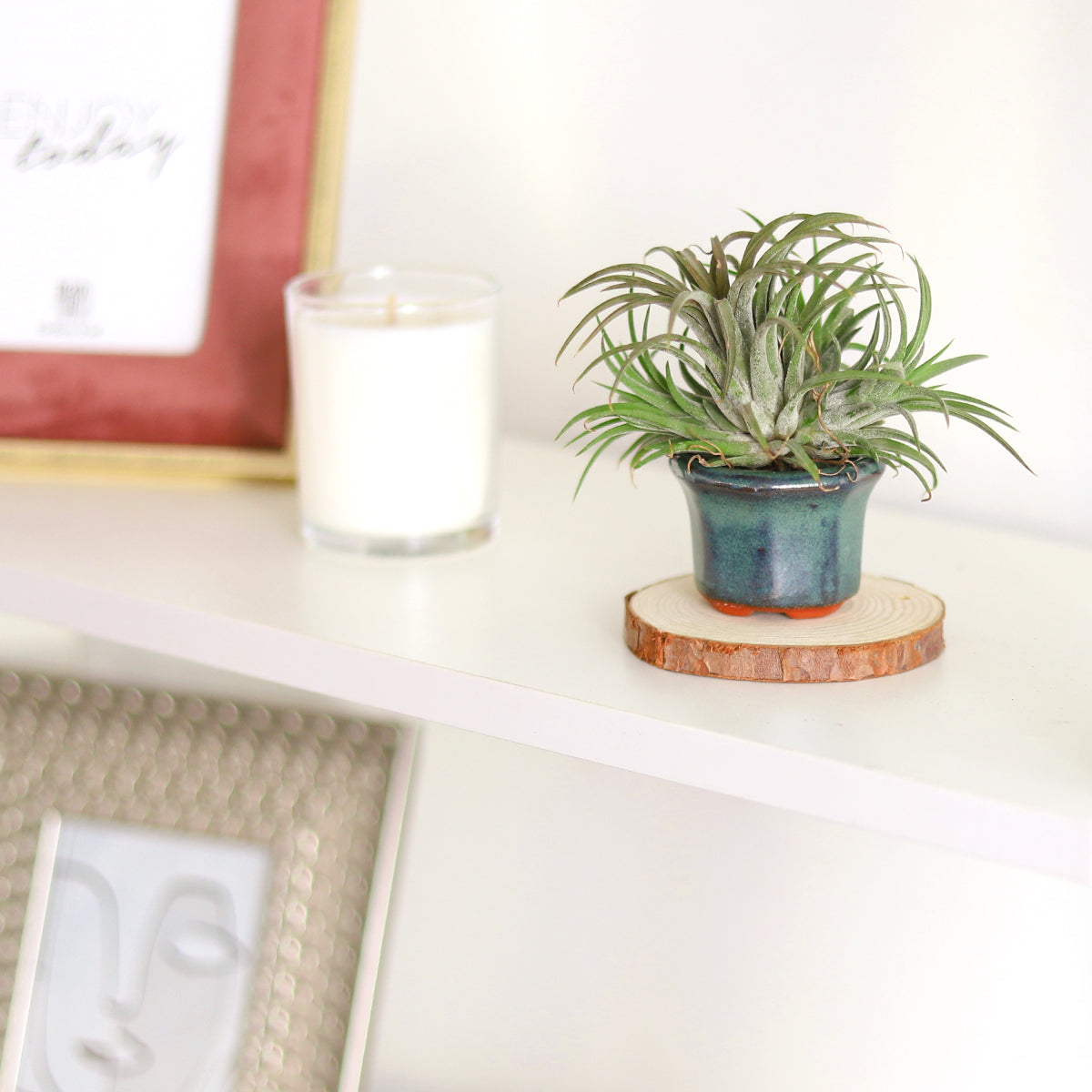 octagon clay mini air plant holder, retro-design air plant holder, buy air plant holder online, air plant pot for sale, geometric shaped plant pot