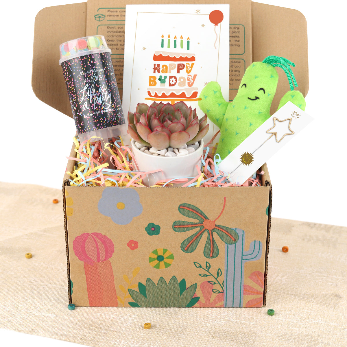 Holiday Gift Box - 1 Succulent 1 Sparkler 1 Confetti Popper &amp; 1 Felt Wire Cactus Pot