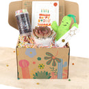 Holiday Gift Box - 1 Succulent 1 Sparkler 1 Confetti Popper &amp; 1 Felt Wire Cactus Pot
