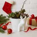 christmas ideas gifts, ideas for christmas gifts, christmas gifts for women, christmas gifts for women under $50