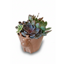 cool christmas gifts for men 2025, gifts for plant lovers, christmas gift 2025, gifts for dad/mom