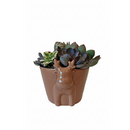 cool christmas gifts for men 2025, gifts for plant lovers, christmas gift 2025, gifts for dad/mom