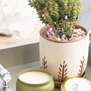 indoor terracotta planter, indoor terracotta planter for sale, buy indoor terracotta planter online, indoor terracotta planter for succulents and houseplants