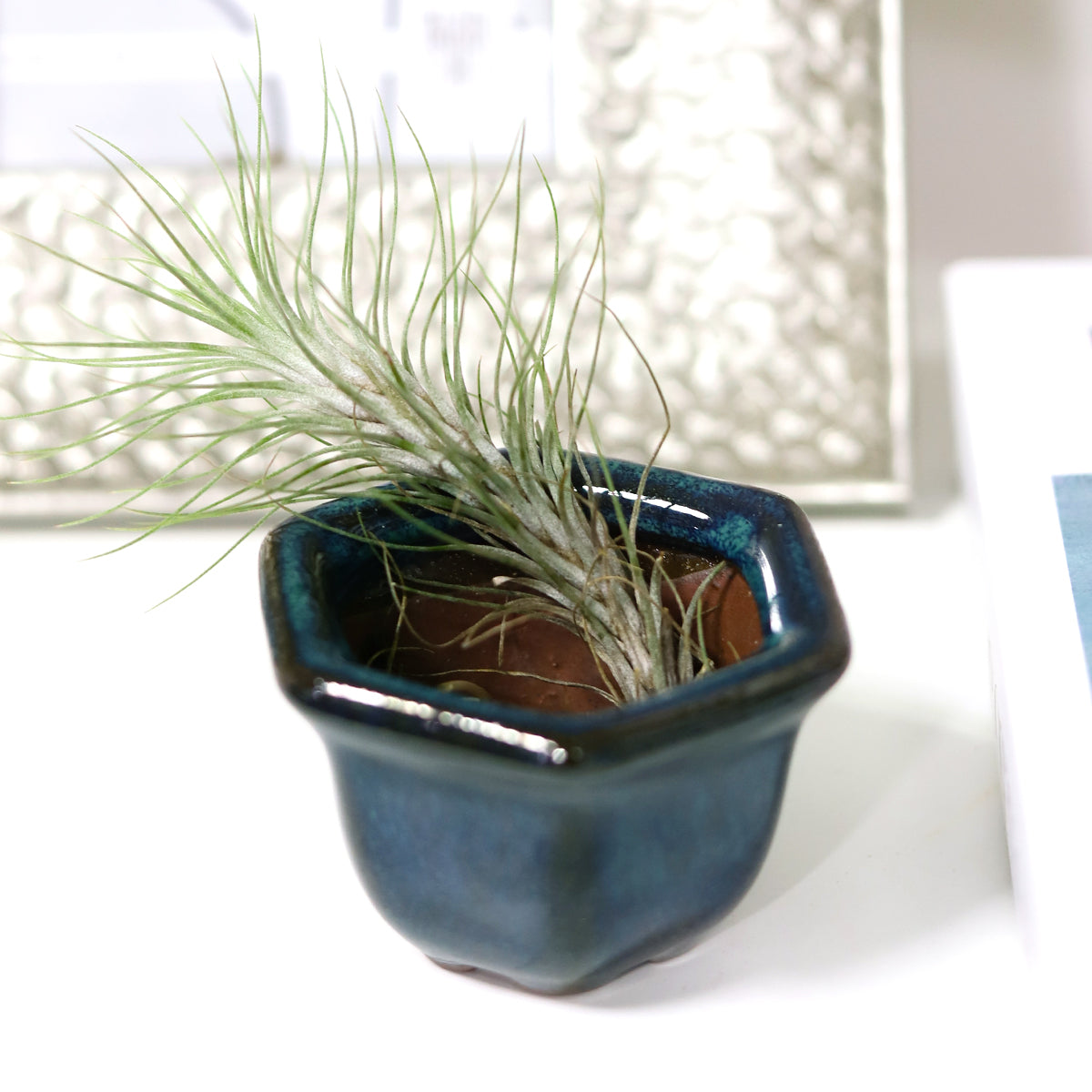 air plant holder, mini air plant holder, clay mini pot for air plant, retro style air plant holder, clay mini air plant pot, mini clay pot for air plant, small container for air plants and succulents, buy tiny pot for air plant online, air plant pot with drainage hole, retro-design clay pot, geometric shaped air plant holder