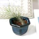 air plant holder, mini air plant holder, clay mini pot for air plant, retro style air plant holder, clay mini air plant pot, mini clay pot for air plant, small container for air plants and succulents, buy tiny pot for air plant online, air plant pot with drainage hole, retro-design clay pot, buy air plant holder online