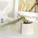 small air plant holder, tiny air plant holder for sale, mini cement airplant holder