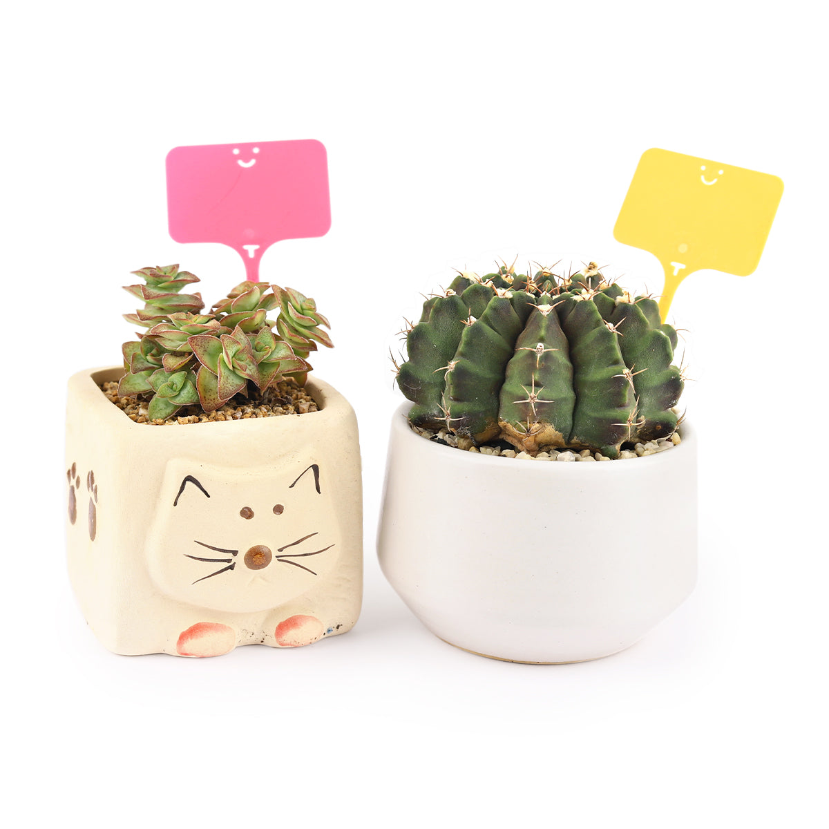 plant labels, plant tags, succulent tags, rectangle plant tag with a smiley face, pink and cream succulents tag