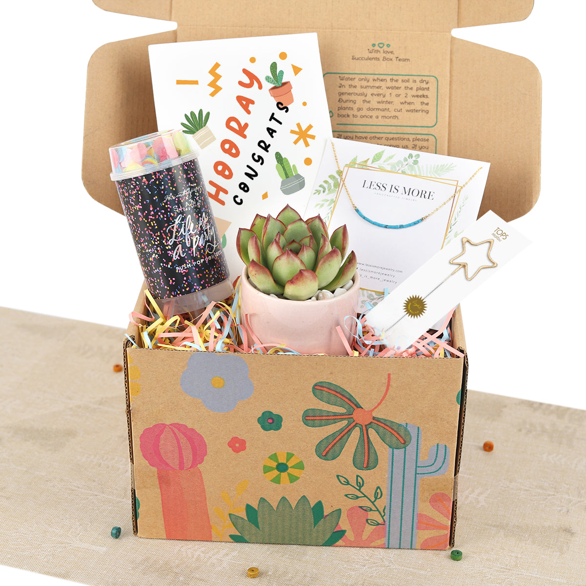 Holiday Gift Box - 1 Succulent 1 Sparkler 1 Confetti Popper & 1 Jewelry