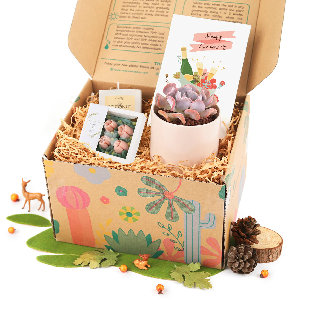 succulents gift box, plant lover gift ideas, relaxing gift box for women, buy gift box online, unique gift box for sale